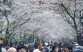 Tourism in China. Photo by Xinhua.