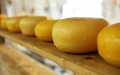 Cheese exports increase by 42.4% to 4,700 tons in January-May