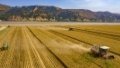 Agricultural machinery harvesting wheat at a cooperative in Sanmenxia City, central China's Henan Province. Photo by Du Jie/Xinhua.