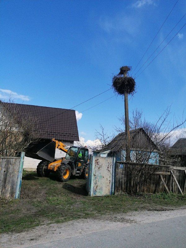 Прежнее гнездо почти провалилось. Фото: Facebook Киевский отряд спасения животных