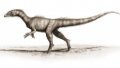 Dinosaur. Figure: Facebook.