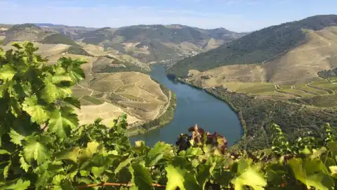 Португальський виноробний регіон. Фото:  facebook.com/ Wines of Portugal UA