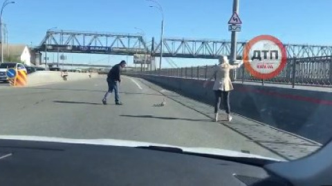 В центре Киева водители помогли утке с утятами перейти оживленное шоссе