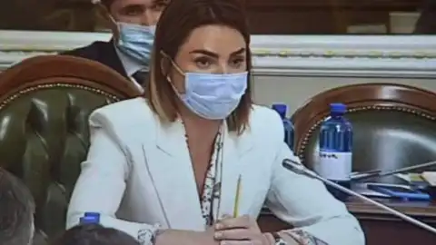 Віолета Лабазюк. Скриншот: ТК "Рада".