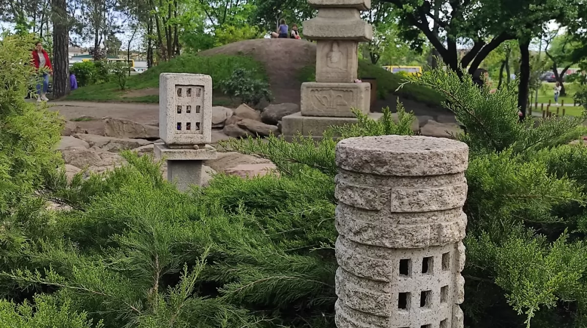 Сакура в парке Киото. Фото Українські Новини Сакура в парке Киото. Фото Українські Новини