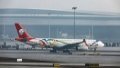 An A330 airliner from the Sichuan Airlines. Photo by Xinhua/Shen Bohan.

