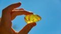 Company Owned By Concord Capital Starts Amber Mining In Rivne Region
