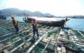 Cleaners clear the floating waste in the fish breeding rafts in Huangqi Township of Lianjiang County, east China's Fujian Province. Photo by Xinhua/Jiang Kehong.