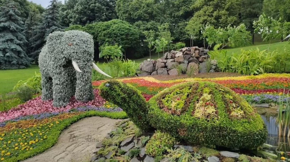 Выставка цветов. Фото: Вечерний Киев Выставка цветов. Фото: Вечерний Киев