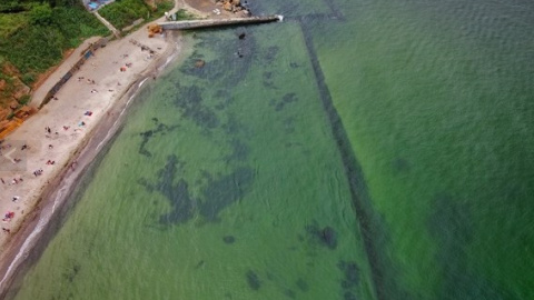 В Одесі після дощів і спеки сильно забруднилося і зацвіло море