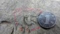 Scientists discover in China dinosaur track. Photo by Xinhua.