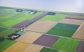 4 more auctions for lease of state agricultural land take place - Property Fund