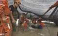 Workers help save a pilot whale that got beached on tidal flats in eastern China. Photo by Xinhua.