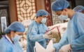 Traditional Chinese medicine culture. Photo by Xinhua.