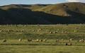 China's land area of ecological protection. Photo by Xinhua.