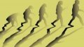 Evolution of mankind. Picture by Xinhua.