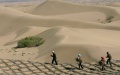 Restores of desertified land in China. Photo by Xinhua.