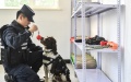 Sniffer dog "Hei Sa" and its instructor Jiang Feng prepare for a training session in Baishan, northeast China's Jilin Province to become a reliable canine comrade in multiple border missions. Photo by Xinhua/Xu Chang.