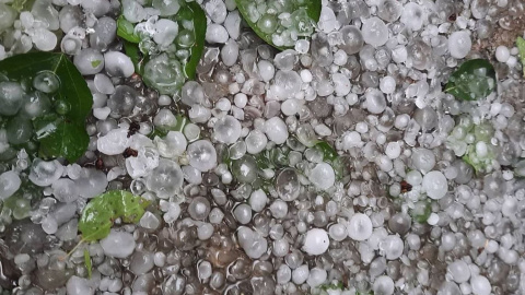 Град в Харькове. Фото: facebook.com/kharkivmeteo