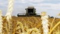 Banks Issue Loans To Agrarians Worth UAH 63.7 Billion - Agrarian Ministry