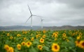 The green technology in China. Photo by Xinhua.
