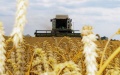 Banks Issue Loans Of UAH 11 Billion To Farmers Since Beginning Of Year - Agrarian Policy Ministry