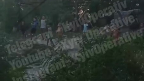 Пасажирський потяг в Києві зупинили та закидали камінням діти-роми