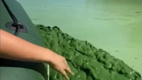 Вода в Дніпрі. Скріншот відео: Facebook / Ірина Вербівська