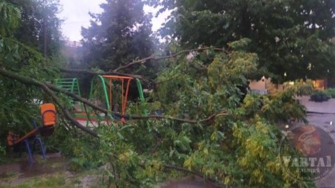 На Львів обрушилася сильна злива, яка затопила вулиці та повалила дерева