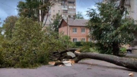 По Виннице прошел ураган и повалил деревья, пострадала женщина
