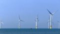 Wind farm in China. Photo by Xinhua.
