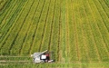 China's high-standard farmland. Photo by Xinhua.