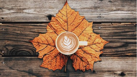 Выходные в ноябре 2021.  Фото: pinterest.com