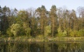 Russia Plans Massive Deforestation Of Ukrainian Forests