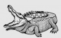 The ancient vertebrate, named Yanjisuchus longshanensis, was found in Yanji in northeast China's Jilin Province. Picture by Chinese Academy of Sciences/Xinhua.