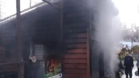 В зоопарке Луцка произошел пожар, погибли животные