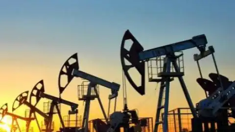 A Member of the Parliament is trying to jeopardize significant foreign investment into oil & gas production in Ukraine