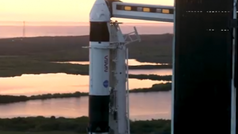 Космический корабль готов к старту. Фото: SpaceX