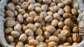 Walnuts. Photo: pixabay