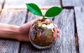 Volume Of Private Remittances Up 3% To USD 1.2 Billion In May