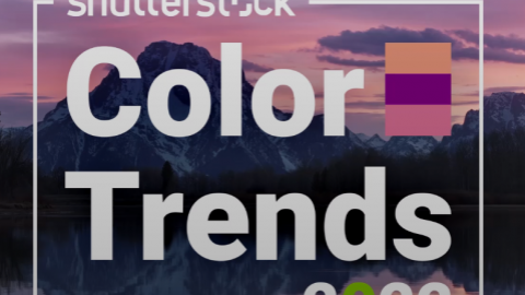 Shutterstock составил топ трендовых цветов на 2022 год