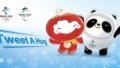 The Beijing 2022 Olympic and Paralympic Winter Games. Photo by Xinhua.