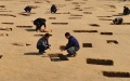 Archaeological site in China. Photo: Xinhua.