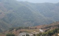 Ailao Mountains in China. Photo by Xinhua.