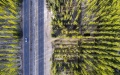 Environmental projects in China. Photo by Xinhua.