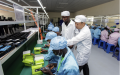 Chinese direct investment in Africa. Photo by Xinhua.