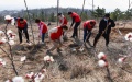 Volunteers plant saplings in Qingzhou City, east China's Shandong Province. Photo by Wang Jilin/Xinhua.
