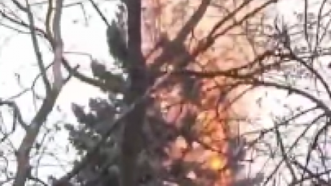 Одна з найбільших ялинок у Кривому Розі згоріла. Скріншот відео