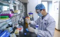 A staff member tests samples of the COVID-19 inactivated vaccine. Photo by Xinhua/Zhang Yuwei.
