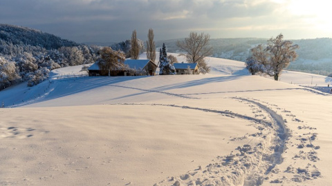 Зима. Фото: pixabay